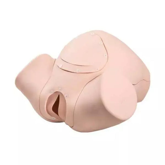 Výuková sada pre úvod do pôrodníctva