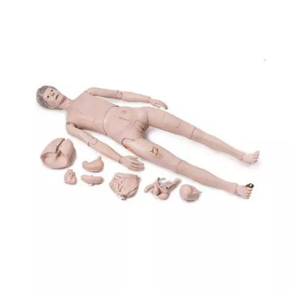 Výukový model človeka II základná verzia