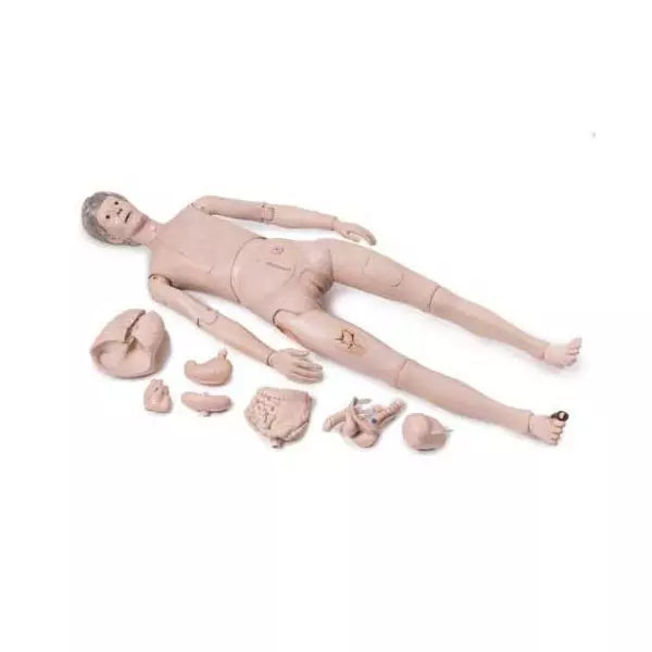 Výukový model človeka II základná verzia