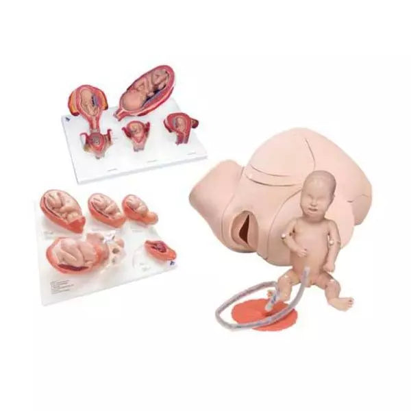 Výuková sada pre úvod do pôrodníctva